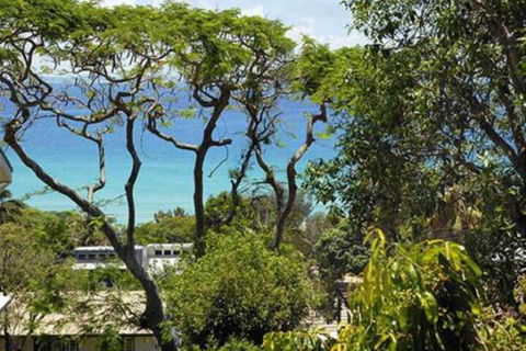 At Cylinder Unit 3 - Tourism Noosa 6