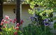 Eagles View Cottage Yarra Valley - thumb 1