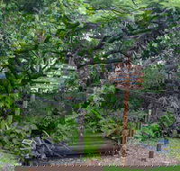 Woolshed Eco Lodge - Tourism Noosa