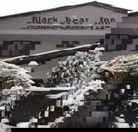 Black Bear Inn - Tourism Noosa