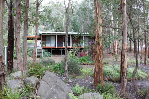 Franciscas Cottage - Tourism Noosa 3