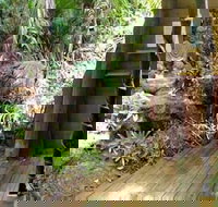 Rainforest Hideaway - Tourism Noosa