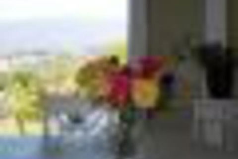 Eagles View Bed & Breakfast - Tourism Noosa 6