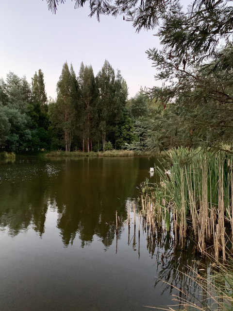 Giants Table And Cottages - Tourism Noosa 5