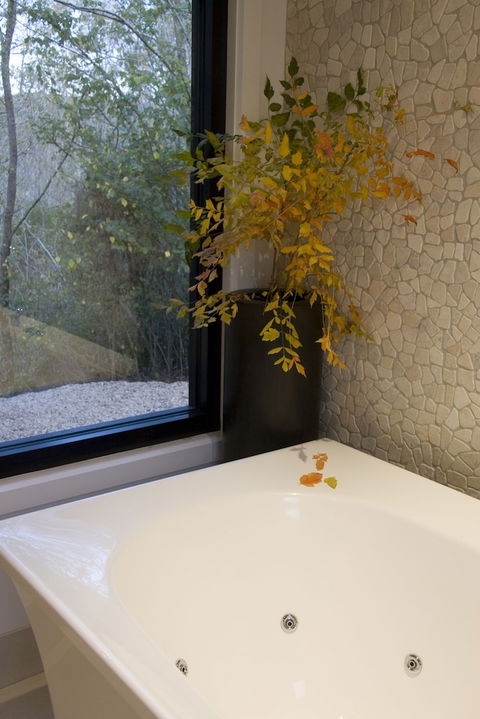 Saltus Luxury Accommodation - Tourism Noosa 6