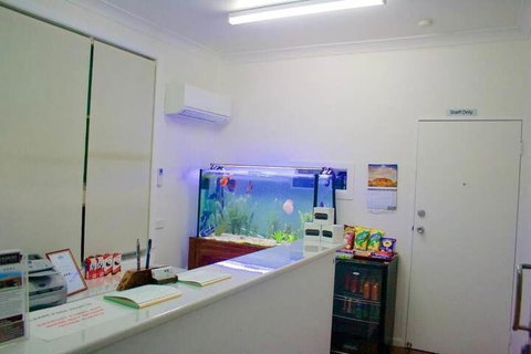 Buckaroo Motor Inn - Tourism Noosa 4