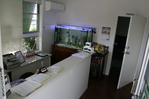 Buckaroo Motor Inn - Tourism Noosa 1