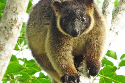 Mt Quincan Crater Retreat - Tourism Noosa 2