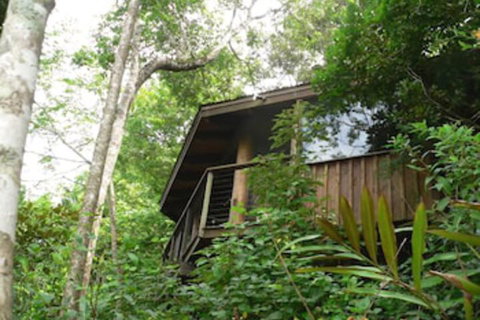 Mt Quincan Crater Retreat - Tourism Noosa 5