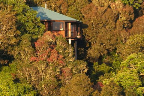 Mt Quincan Crater Retreat - Tourism Noosa 4