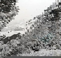 Alpenhorn - Tourism Noosa