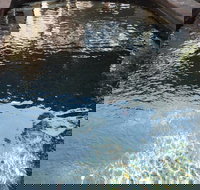 Town  Country Motel - Tourism Noosa