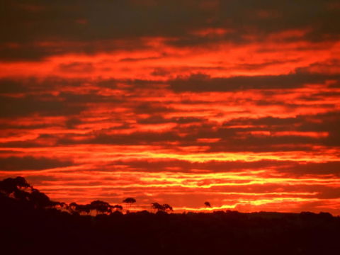 Tennessee Hill Chalets - Tourism Noosa 0