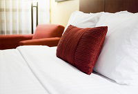 Forest Echo Cottage - Tourism Noosa 0