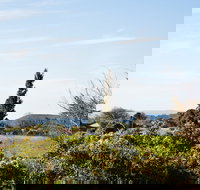 Botanica - Tourism Noosa