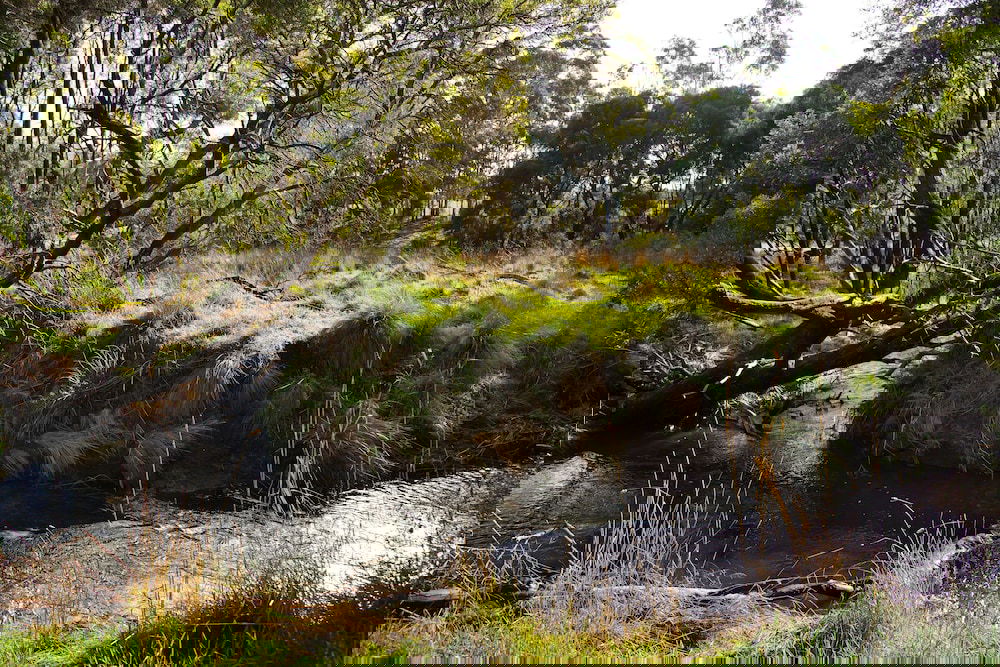 Glenlyon VIC Tourism Noosa