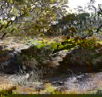 Green Gully House - Tourism Noosa
