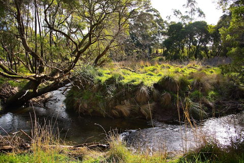 Green Gully House - Tourism Noosa 0