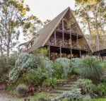 Lavenderpatch - Tourism Noosa