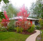 Dalrymples Guest Cottages - Tourism Noosa