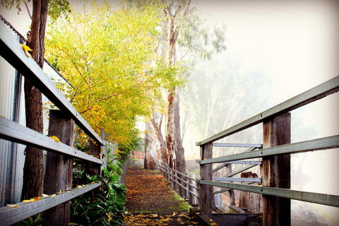 CocknBull Boutique Hotel - Tourism Noosa 3