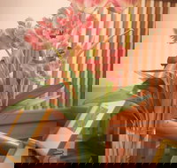 Hotel Avonleigh - Tourism Noosa