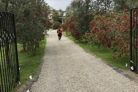 Harmony Bed & Breakfast - Tourism Noosa 2