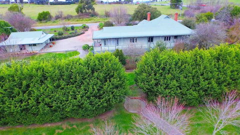 Wild Cattle Creek Estate - Tourism Noosa 6