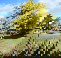 Bairnsdale Main Motel - Tourism Noosa