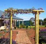 Lavendale Farmstay  Cottages York - Tourism Noosa