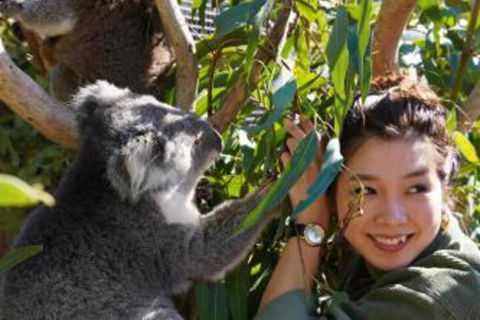 Fauna Australia Wildlife Retreat - Tourism Noosa 2