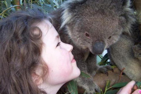 Fauna Australia Wildlife Retreat - Tourism Noosa 3