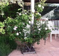 Ellesmere House - Tourism Noosa