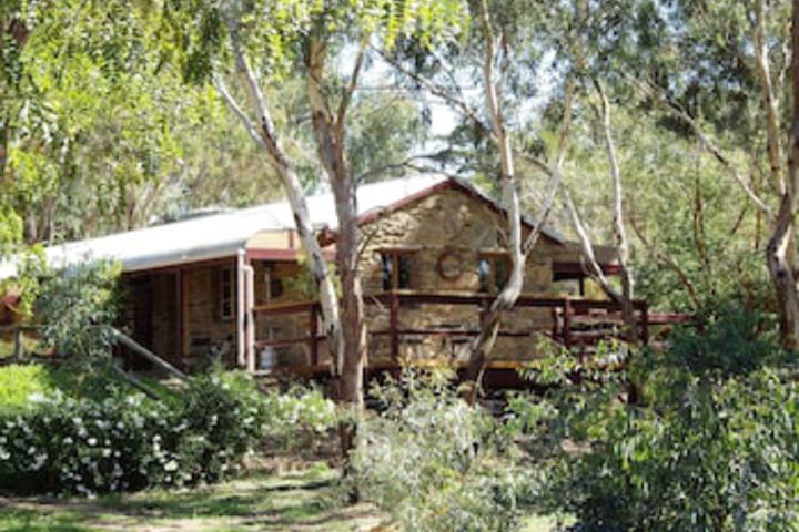 Springton SA Tourism Noosa