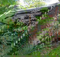 Mt Warning Rainforest Retreat - Tourism Noosa