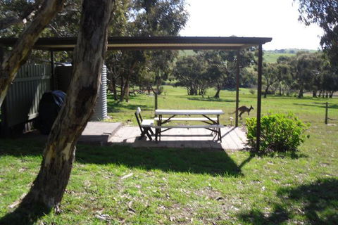 Wenton Farm Holiday Cottages - Tourism Noosa 2