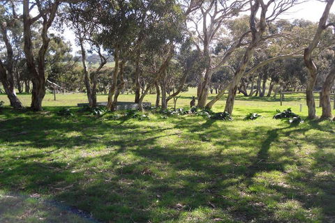 Wenton Farm Holiday Cottages - Tourism Noosa 3