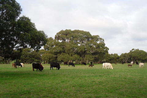 Wenton Farm Holiday Cottages - Tourism Noosa 4