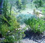 Old Miners Cottages Bed  Breakfast - Tourism Noosa
