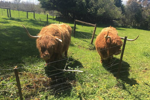 Neerim Country Cottages - Tourism Noosa 2