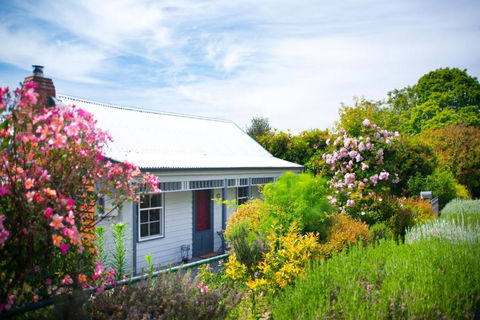 Fortuna Cottage - Tourism Noosa 5