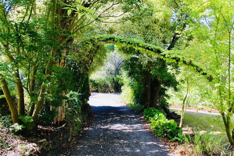 Nagoondie Studio - Tourism Noosa 3