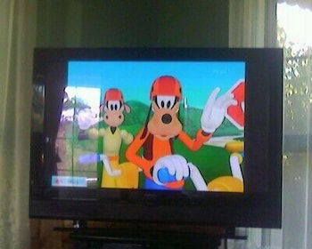 Abelia Cottage Of Daylesford Botanical - Tourism Noosa 2