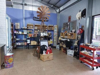 Litchfield Tourist Park - Campground - Tourism Noosa 2