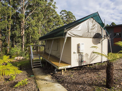 NRMA Port Arthur Holiday Park - Tourism Noosa 4
