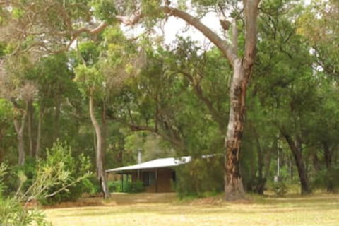 Woody Grange Chalets - Tourism Noosa 4