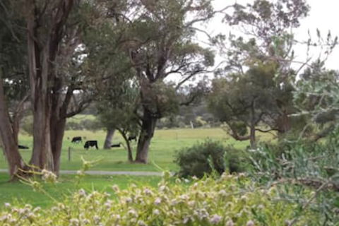 Woody Grange Chalets - Tourism Noosa 3
