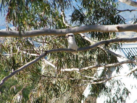 St Peters Fairview - Tourism Noosa 1