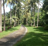 Cape Trib Farmstay - Tourism Noosa