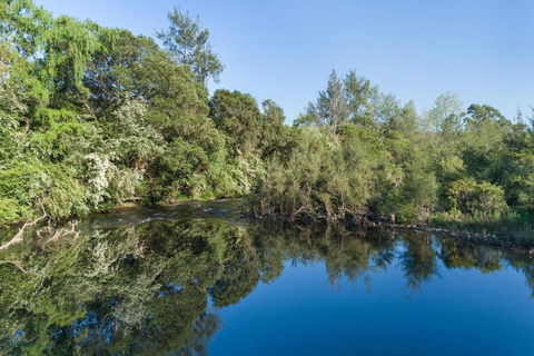 Barrington Riverside Cottages - Tourism Noosa 1